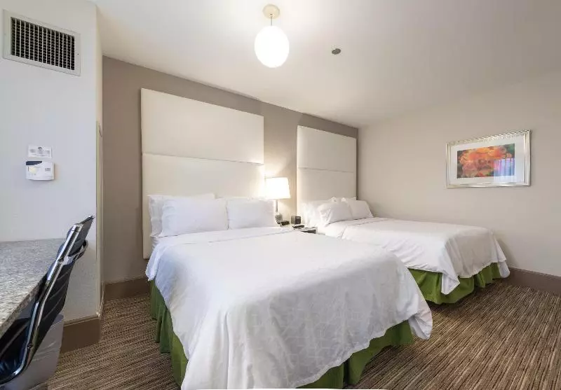 スタンダードルーム, Holiday Inn Express Chicago   Magnificent Mile, An Ihg