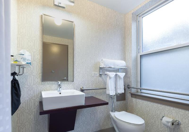 Номер Стандарт Адаптированный для Инвалидов, Holiday Inn Express Chicago Magnificent Mile, An Ihg