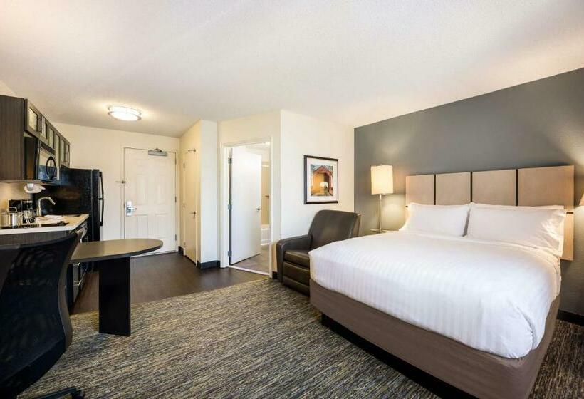 スタンダードスタジオ, Sonesta Simply Suites Dallas Las Colinas