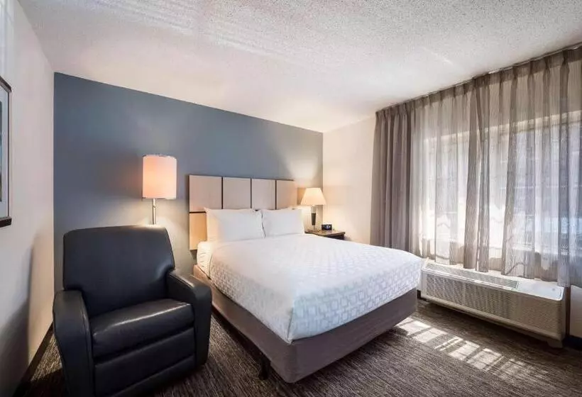 سوییت, Sonesta Simply Suites Dallas Las Colinas