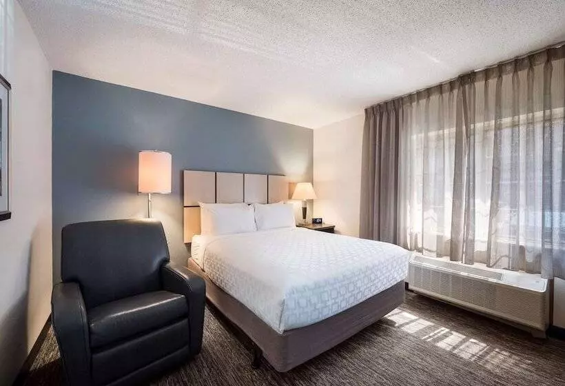سوییت, Sonesta Simply Suites Dallas Las Colinas
