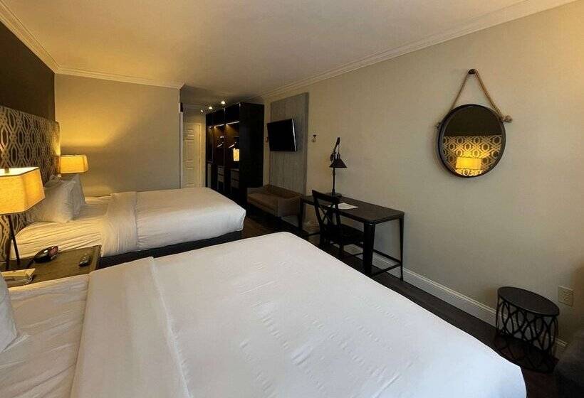 غرفه قياسيه سريرين مزدوجين, The Century House, Ascend Hotel Collection