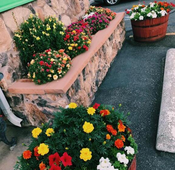 غرفه قياسيه سريرين مزدوجين, Value Lodge Inn