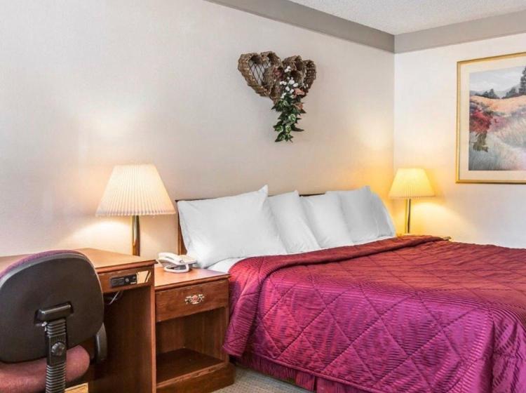 غرفة قياسية سرير كينج, Value Lodge Inn