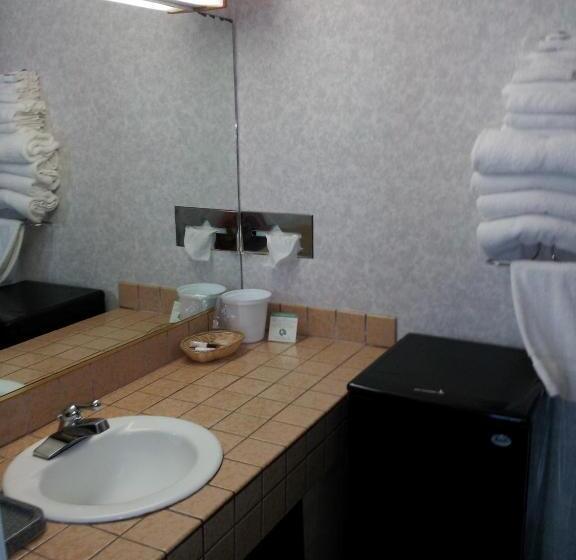 غرفة قياسية سرير مزدوج, Castle Inn