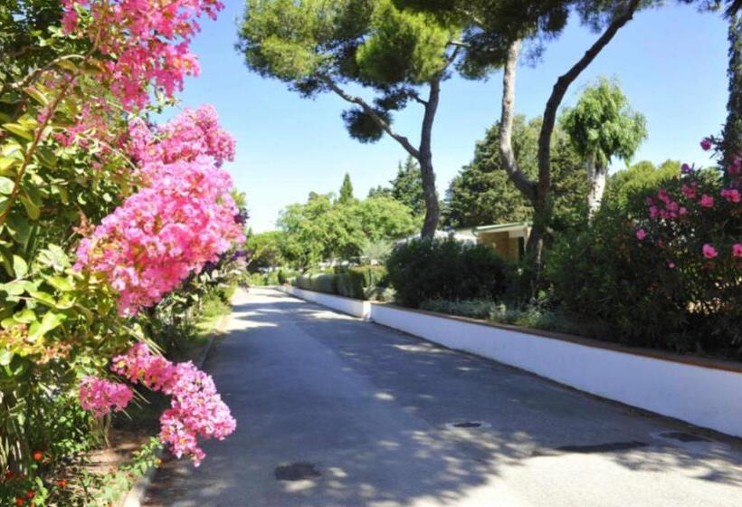 Апартаменты 2 Спальни, Apartment Type D