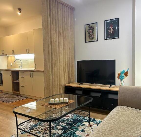 １ベッドルームアパートメント, Solegutta