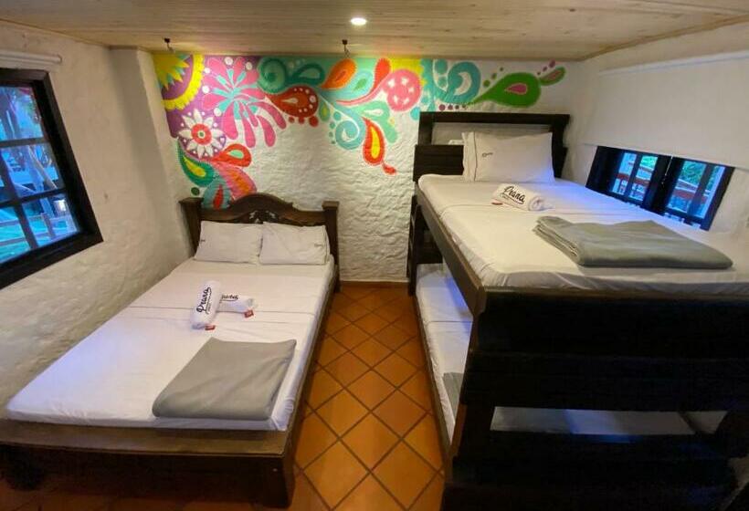 4인용 스탠다드 룸, Prana