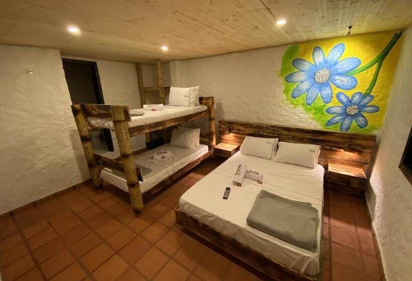 4인용 스탠다드 룸, Prana