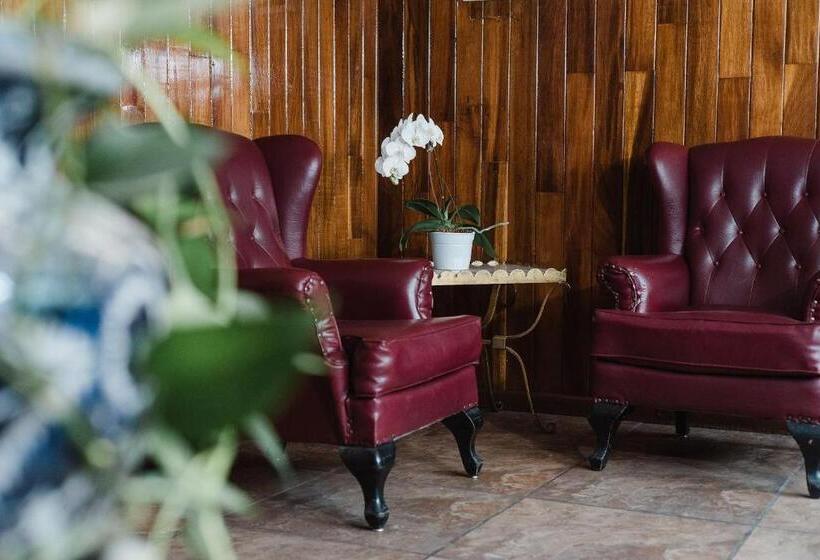 带大床的标准间, Rex