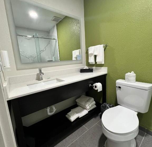 Люкс Кровать Кинг, Sleep Inn & Suites Salina I 135