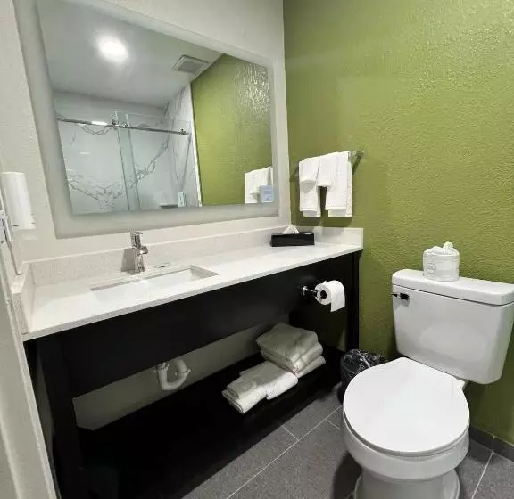 Sviitti King-vuode, Sleep Inn & Suites Salina I 135