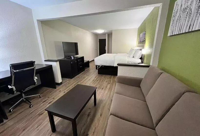 Sviitti King-vuode, Sleep Inn & Suites Salina I 135