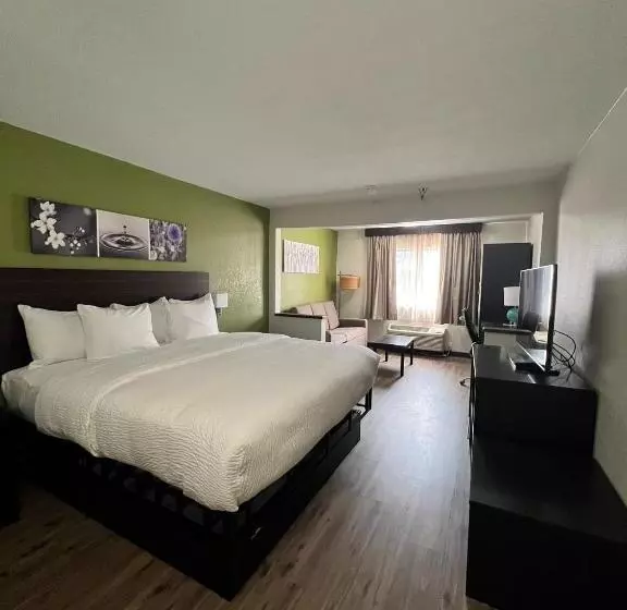Sviitti King-vuode, Sleep Inn & Suites Salina I 135