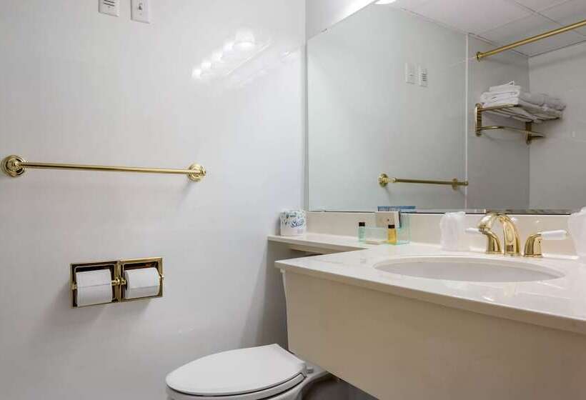 غرفه قياسيه سريرين مزدوجين, Coachman Inn