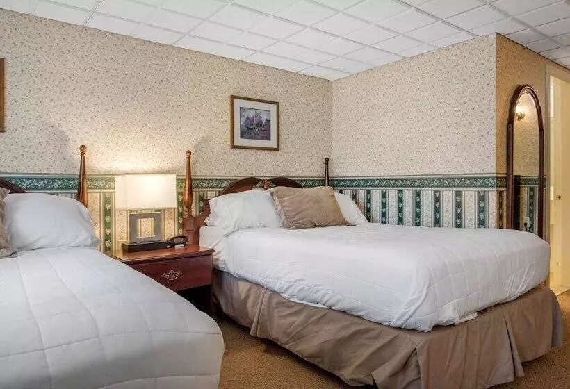 ２ダブルベッドのスタンダードルーム, Coachman Inn