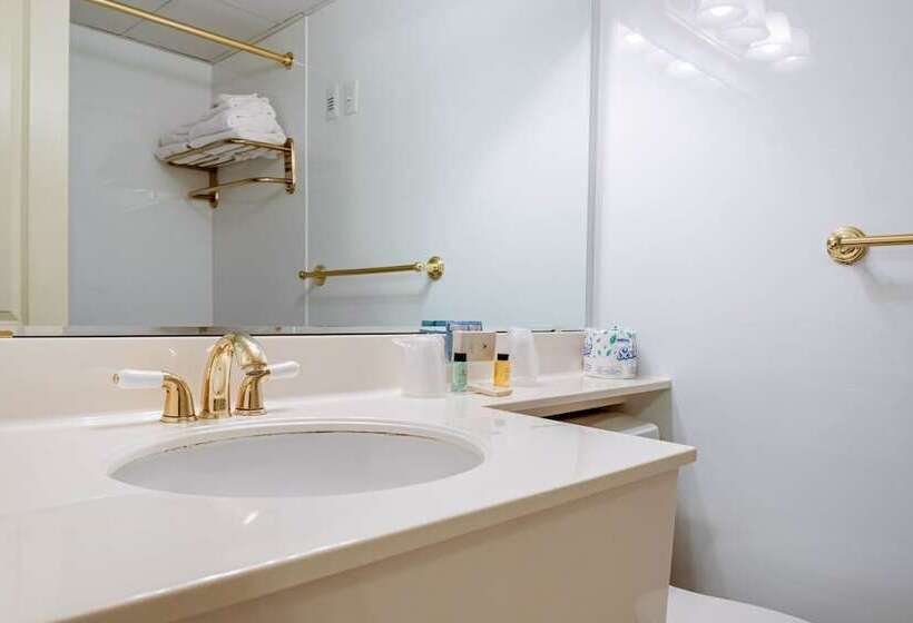 غرفه قياسيه سريرين مزدوجين, Coachman Inn