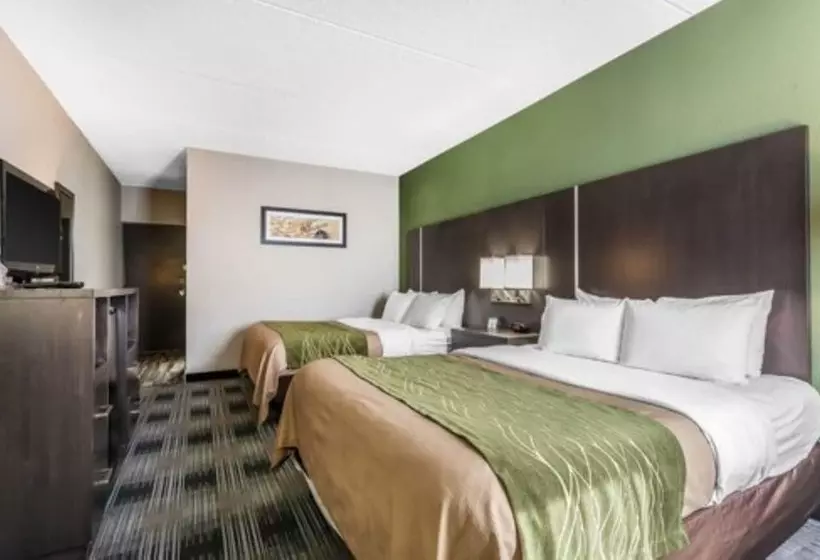 ２ダブルベッドのスタンダードルーム, Comfort Inn Cleveland Airport