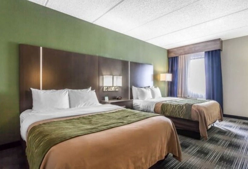 חדר סטנדרט שתי מיטות זוגיות, Comfort Inn Cleveland Airport