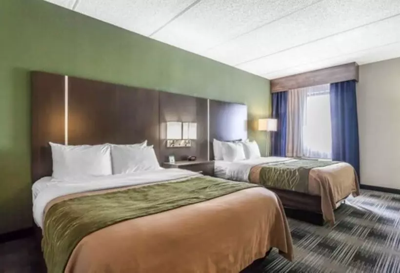 ２ダブルベッドのスタンダードルーム, Comfort Inn Cleveland Airport