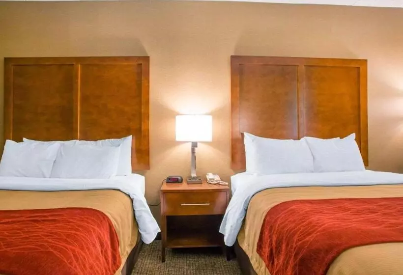 スタンダードルーム, Comfort Inn Dayton  Huber Heights