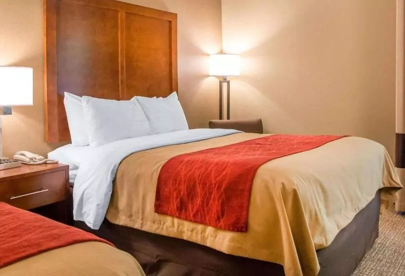 スタンダードルーム, Comfort Inn Dayton  Huber Heights