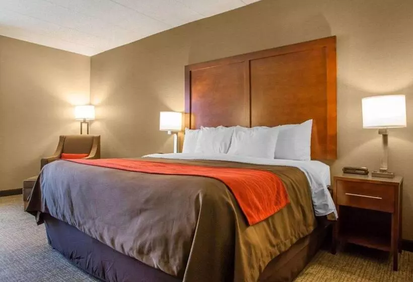 キングサイズベッドのスタンダードルーム, Comfort Inn Dayton  Huber Heights