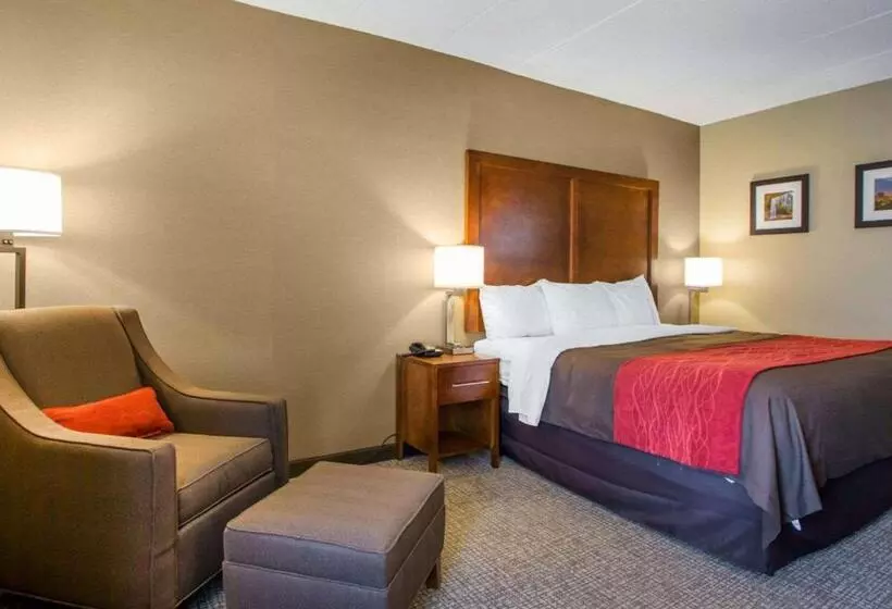 身障者適用キングサイズベッドルーム, Comfort Inn Dayton  Huber Heights