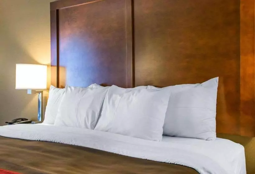 身障者適用キングサイズベッドルーム, Comfort Inn Dayton  Huber Heights