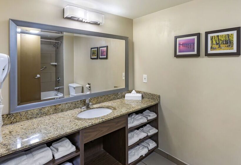 Люкс, Comfort Inn Layton   Salt Lake City