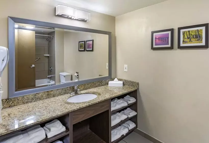 スイート, Comfort Inn Layton   Salt Lake City