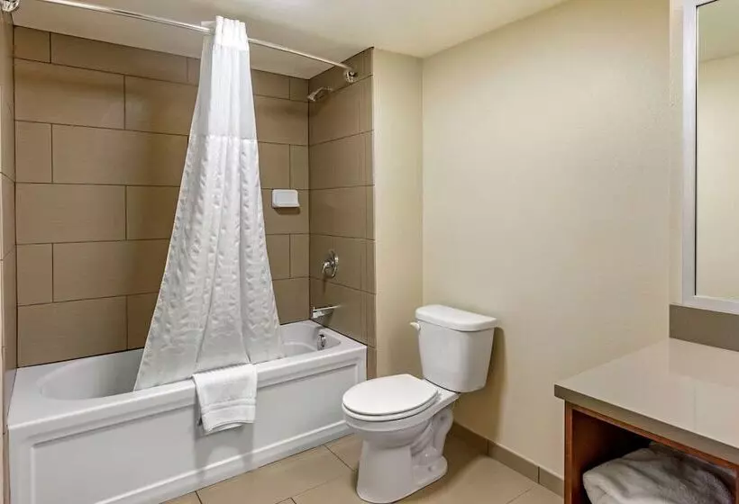 スイート, Comfort Inn Layton   Salt Lake City