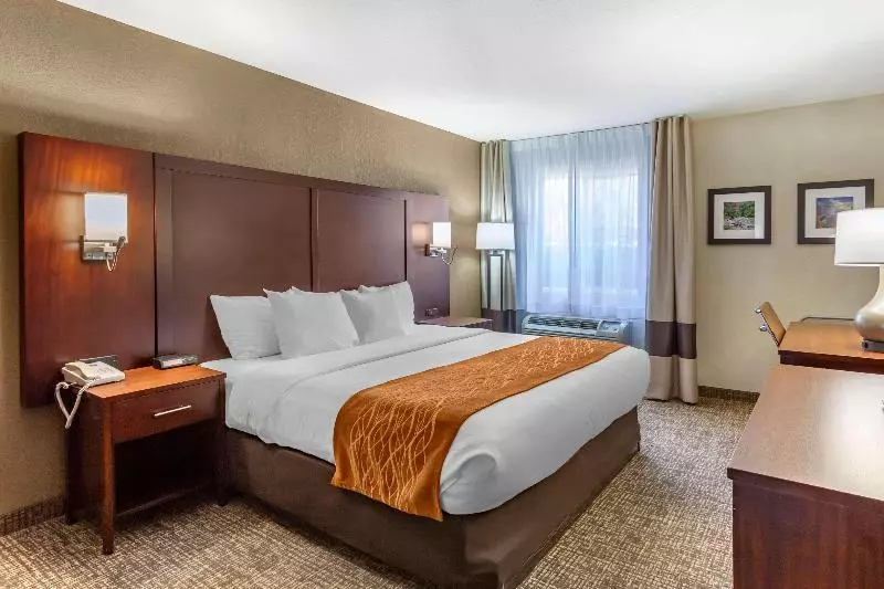 キングサイズベッドのスタンダードルーム, Comfort Inn Layton   Salt Lake City