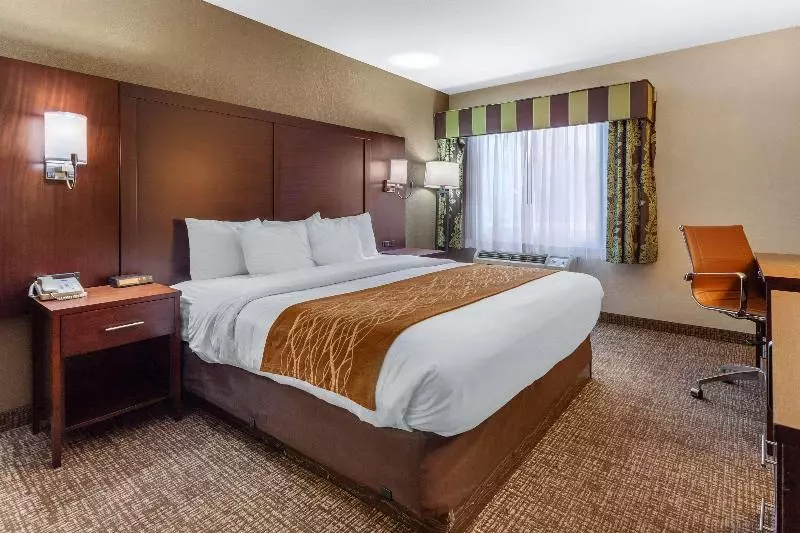 キングサイズベッドのスタンダードルーム, Comfort Inn Layton   Salt Lake City