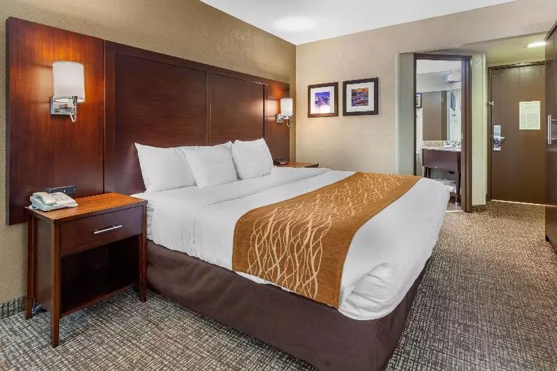 スタンダードルーム, Comfort Inn Layton   Salt Lake City