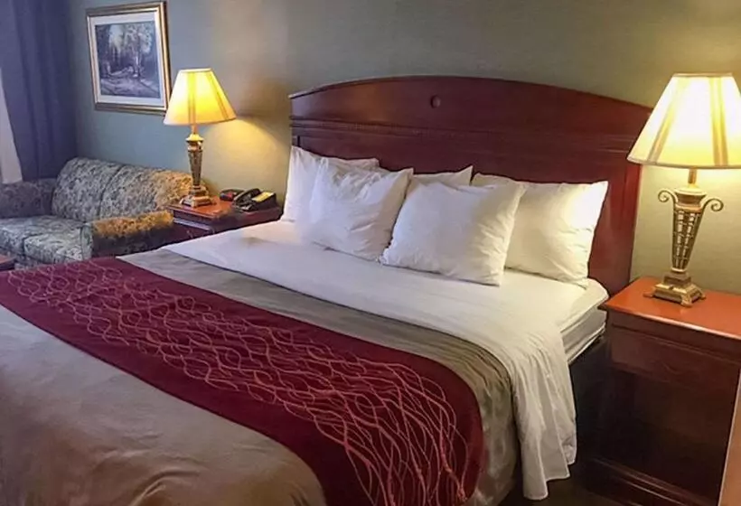 キングサイズベッドのスタンダードルーム, Comfort Inn