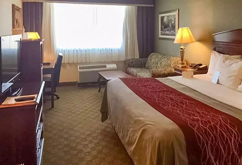 キングサイズベッドのスタンダードルーム, Comfort Inn