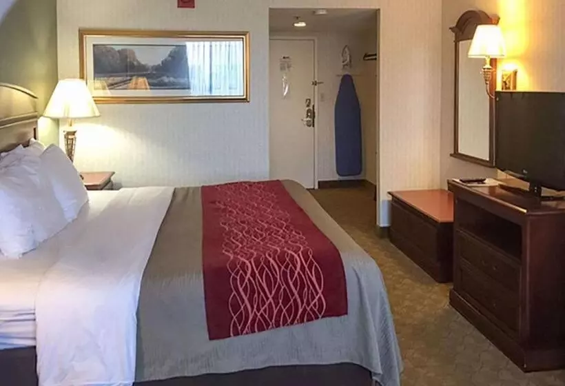 キングサイズベッドのスタンダードルーム, Comfort Inn