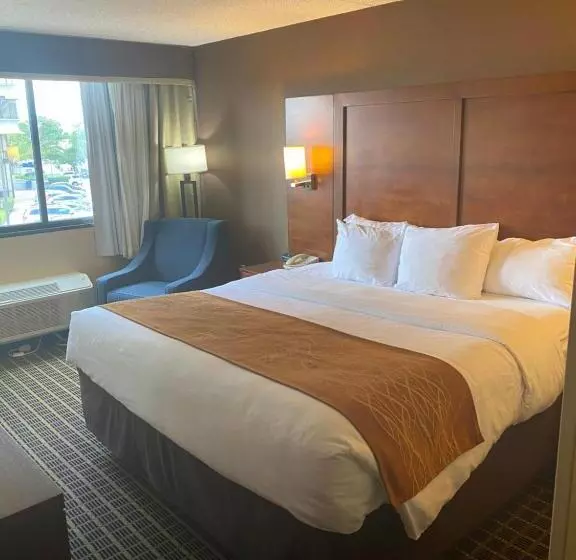 キングサイズベッドのスタンダードルーム, Comfort Inn