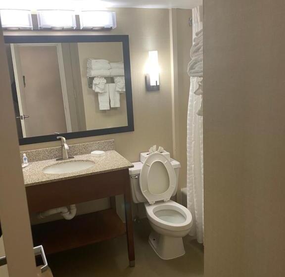 스탠다드 룸 킹사이즈 침대, Comfort Inn