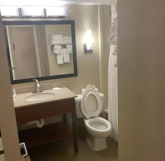 キングサイズベッドのスタンダードルーム, Comfort Inn