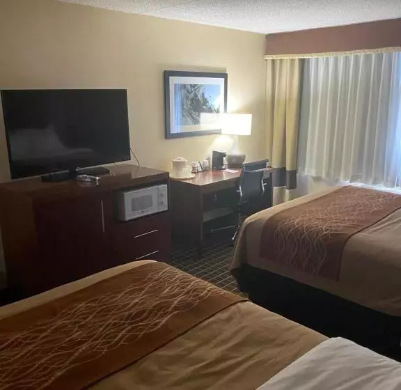 スタンダードルーム, Comfort Inn