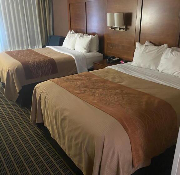 스탠다드 룸, Comfort Inn