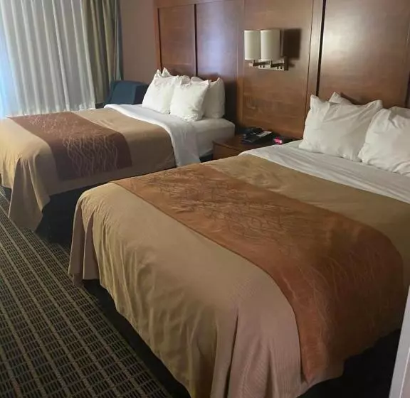スタンダードルーム, Comfort Inn