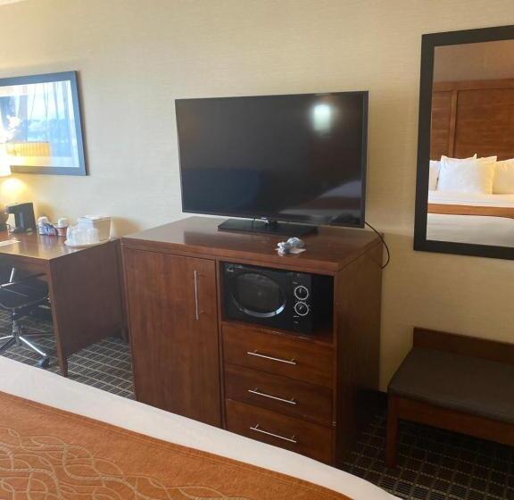 스탠다드 룸, Comfort Inn