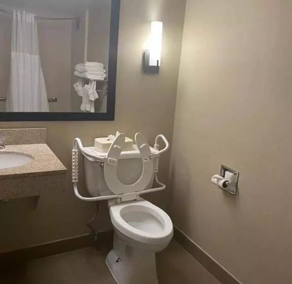 身障者適用スタンダードルーム, Comfort Inn