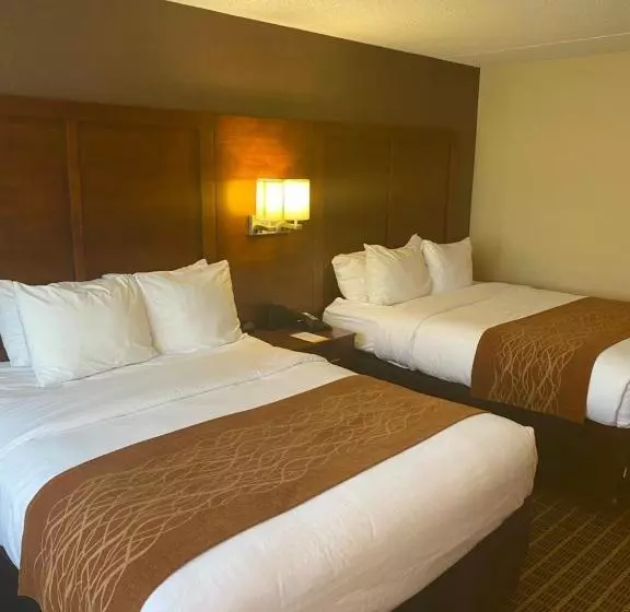 身障者適用スタンダードルーム, Comfort Inn