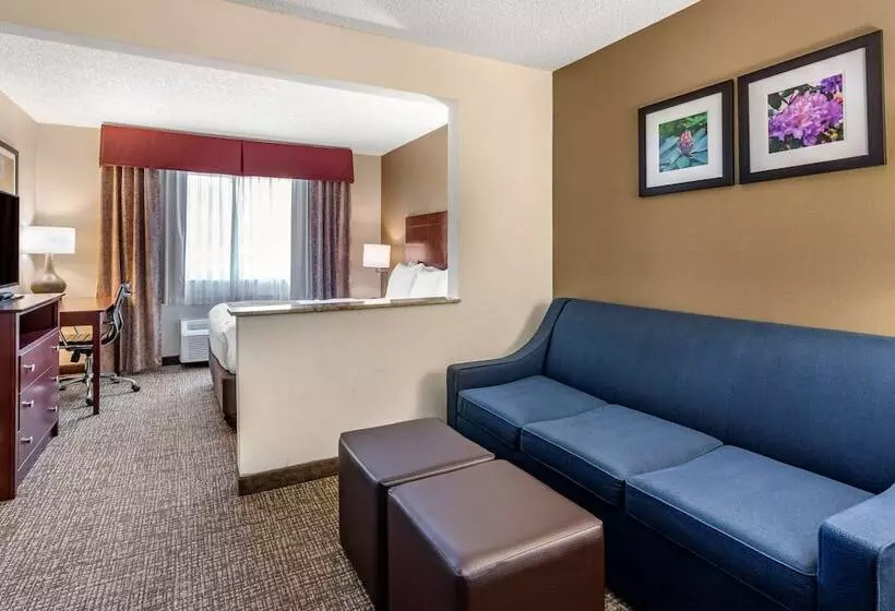 スイート, Comfort Inn & Suites Kelso  Longview