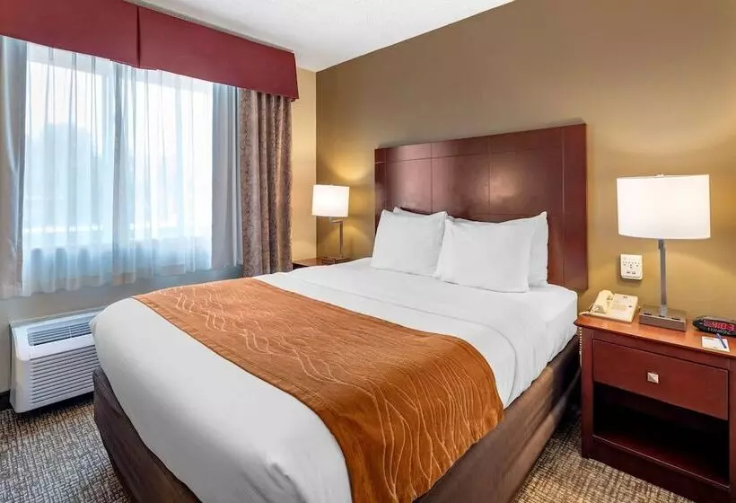 スイート, Comfort Inn & Suites Kelso  Longview
