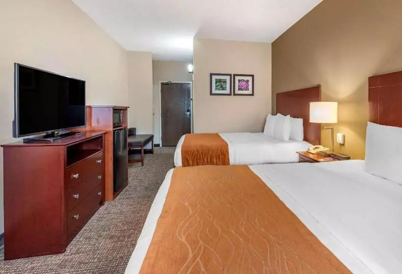 スタンダードルーム, Comfort Inn & Suites Kelso  Longview